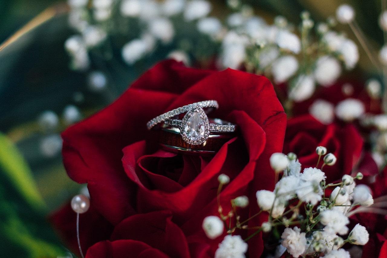 A classic of a platinum engagement ring and platinum wedding bands nestled in a rose.