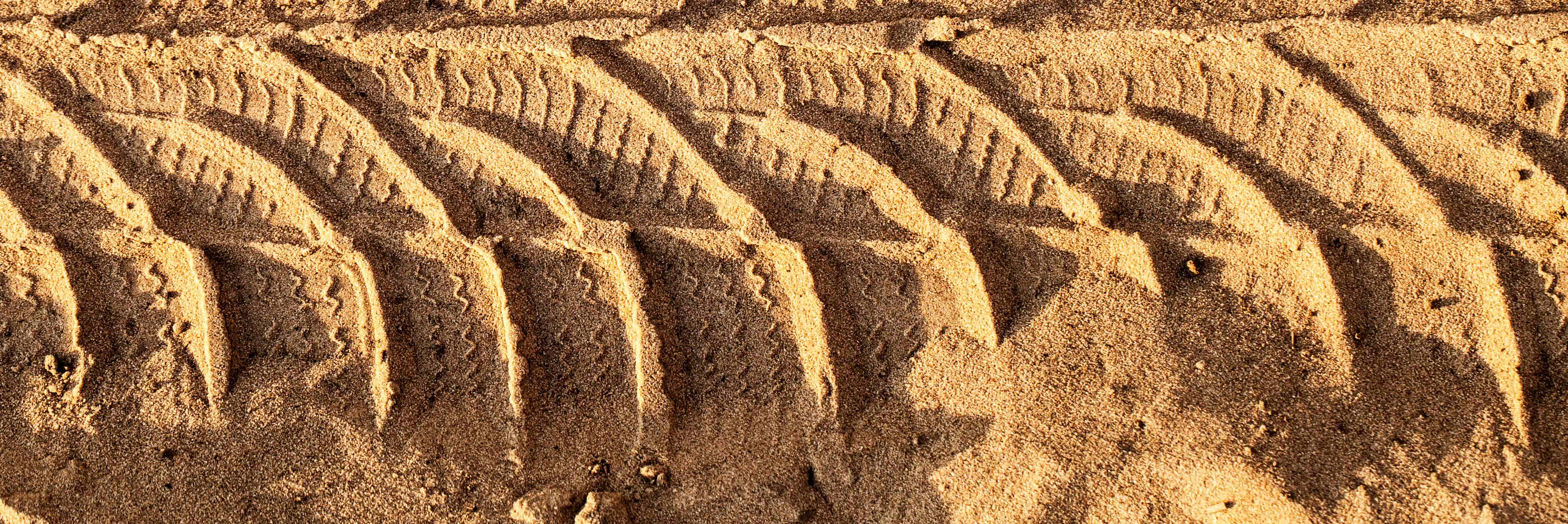 sandy tracks